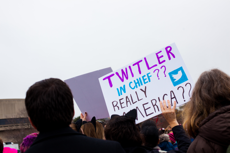 Illustration for article titled WOMEN'S MARCH ON WASHINGTON : THE SIGNS
